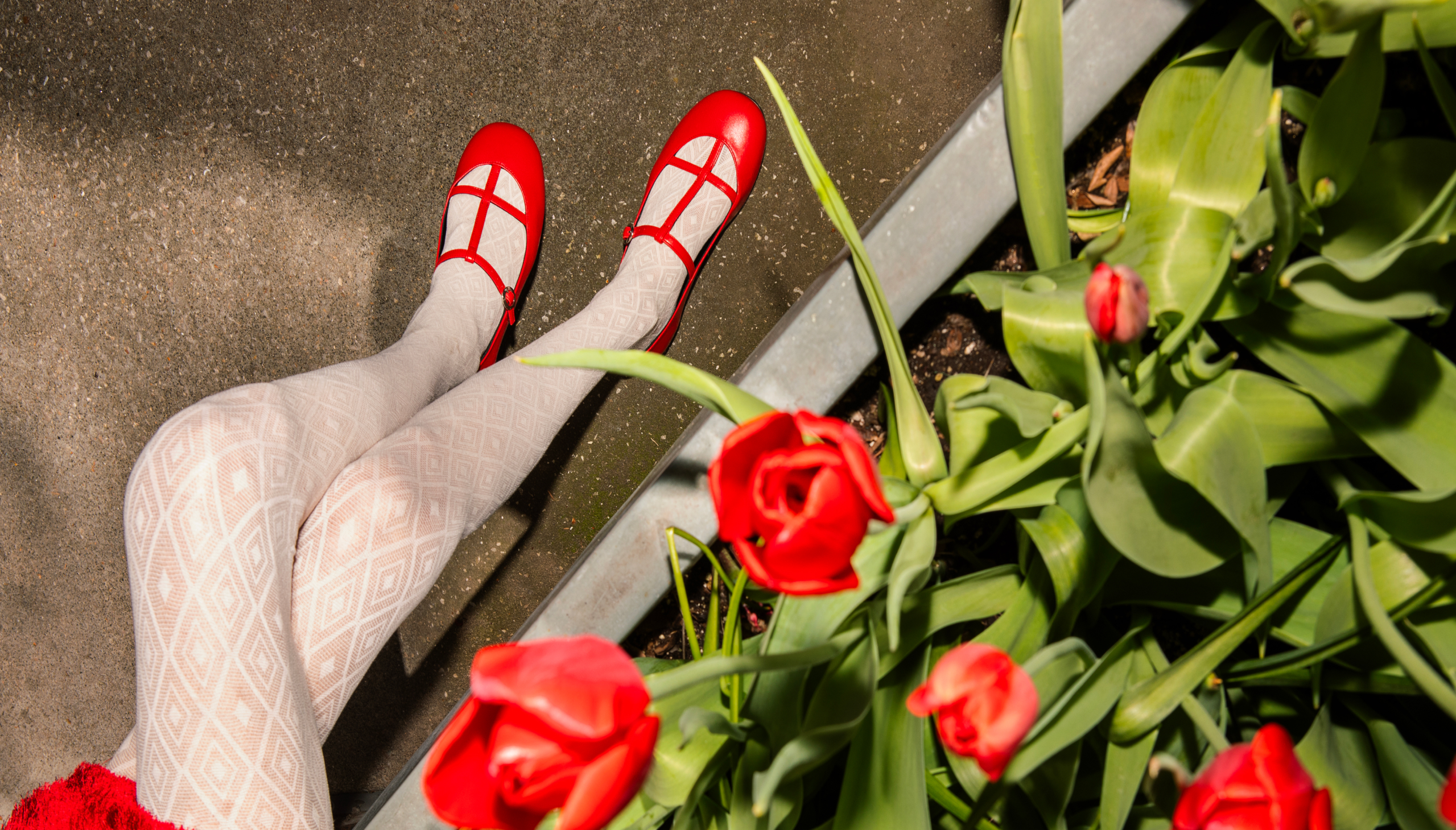 Linda Rodin X Scarosso